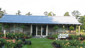 sales building